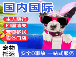 唐山空运地址国际宠物托运 【国